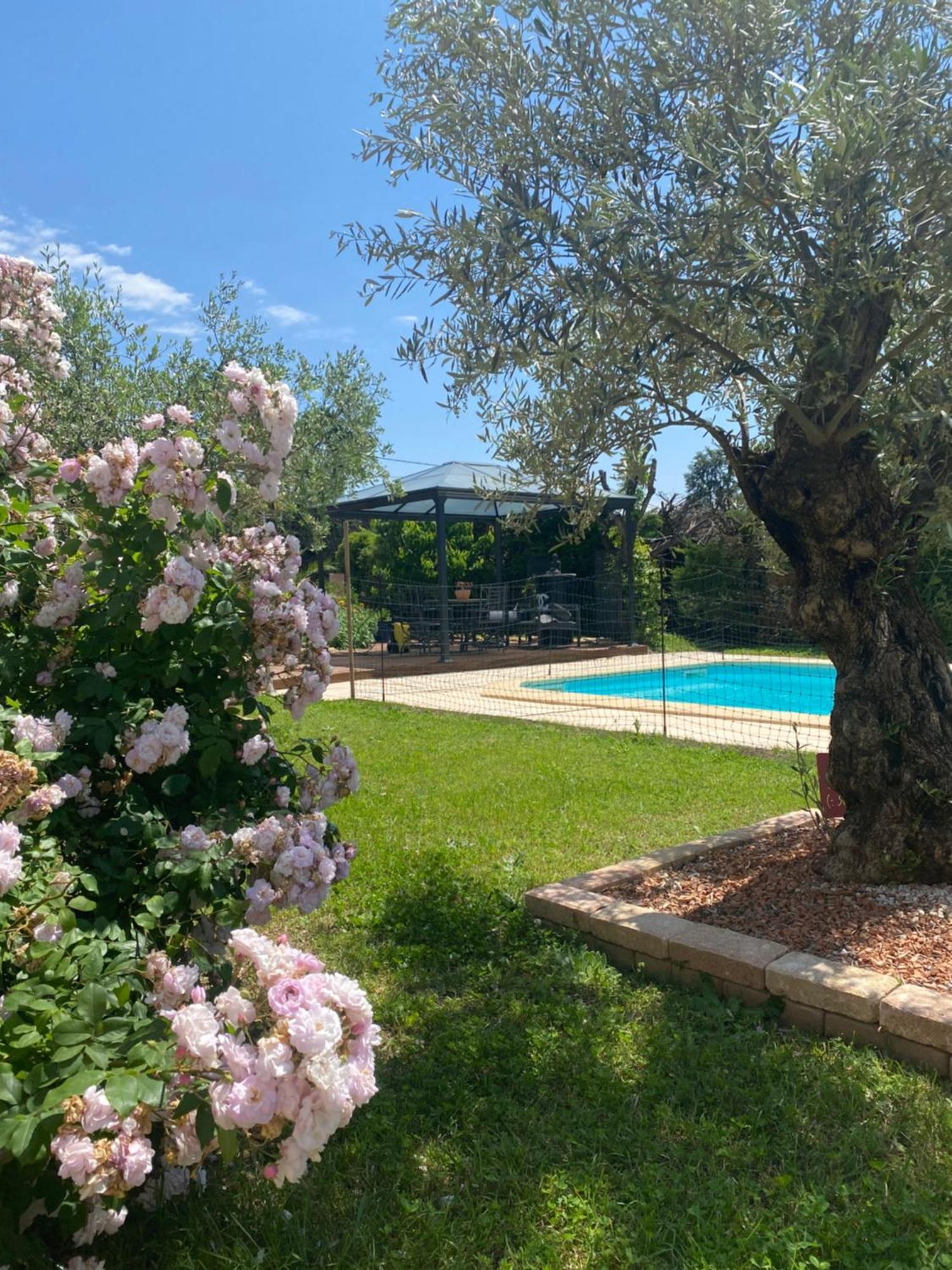 Chambre D'Hotes Vaucluse Bollene Exterior photo